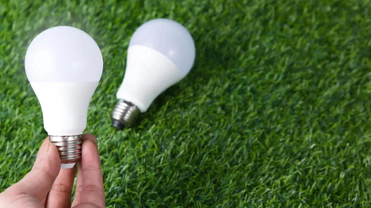 LED Flex haute efficacit&eacute; vs Flex standard&nbsp;: retour sur investissement et &eacute;conomie d'&eacute;nergie